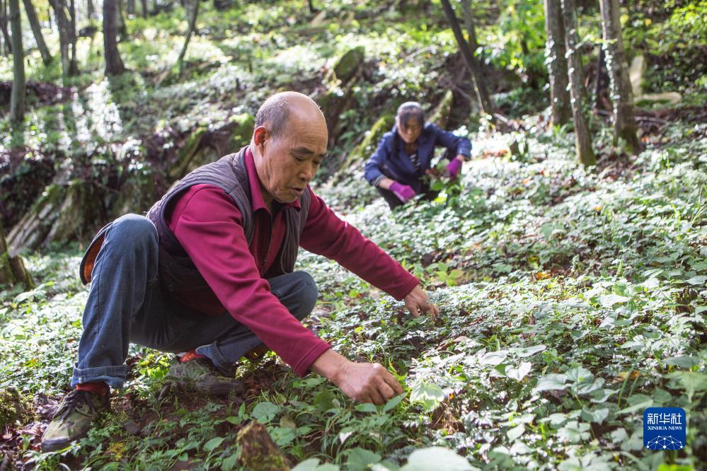梭哈苹果版下载